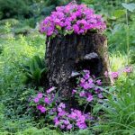 Tree Stump Planter