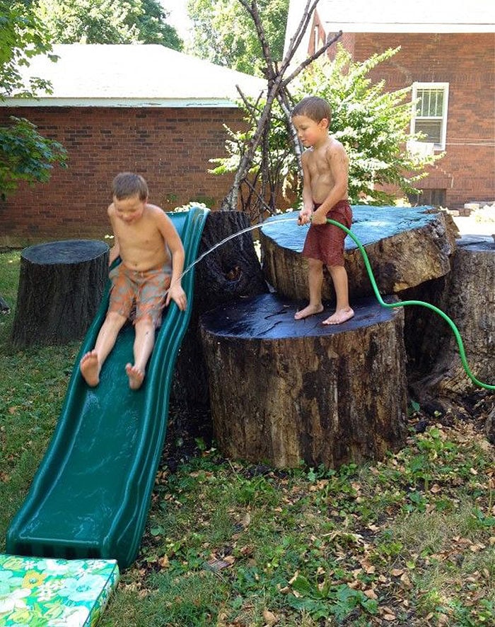 Tree Stump Playground