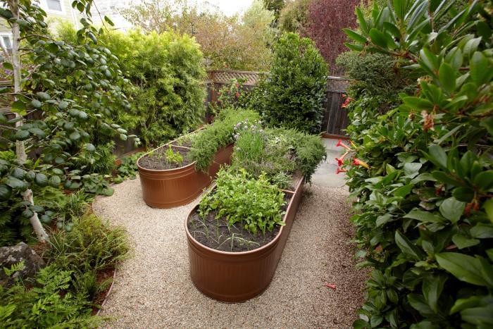 Water Troughs as Raised Garden Bed