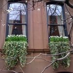 Combined up growing with hanging plants window box