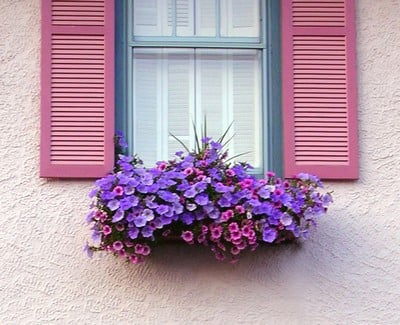 Matched Window Shade and Window Flower Box