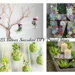 25 Indoor Succulent DIY Project Ideas m
