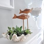 Clam shell Succulent Design Idea