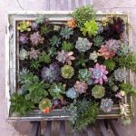 35-indoor-and-outdoor-succulent-garden-ideas