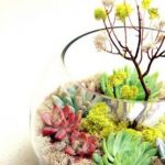 35-indoor-and-outdoor-succulent-garden-ideas-2