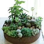 35-indoor-and-outdoor-succulent-garden-ideas-5