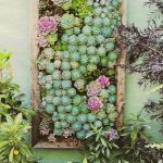 35-indoor-and-outdoor-succulent-garden-ideas-6