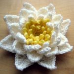 Crochet Pretty Water Lily with Free Pattern