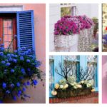 8 Beautiful Window Box Planter Ideas