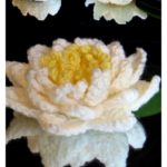 Crochet Pretty Water Lily with Free Pattern (Video)