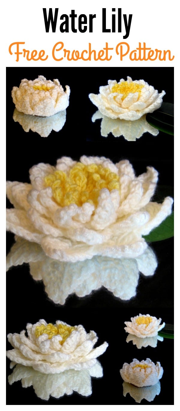 Crochet Pretty Water Lily with Free Pattern (Video)