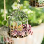 DIY Miniature Succulent Bird Cage Planter