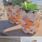 DIY Seashell Succulent Planter
