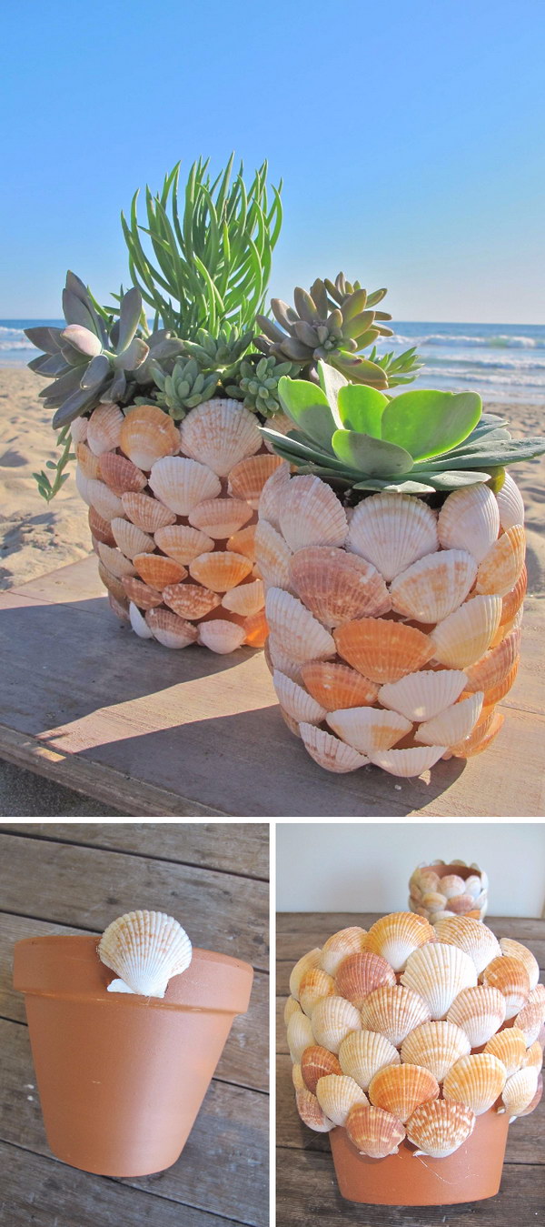 DIY Seashell Succulent Planter