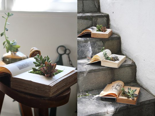 DIY homemade book Succulent planters