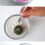 Indoor Cool Cactus Succulent Project Idea