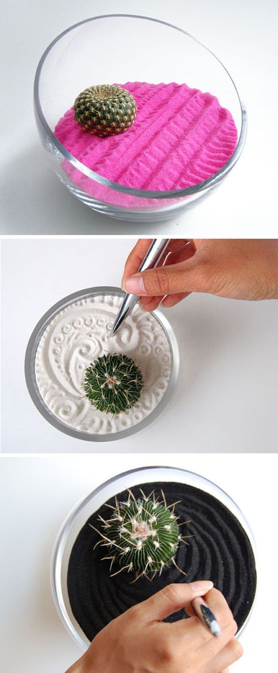 Indoor Cool Cactus Succulent Project Idea