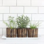 Indoor Herb Garden Ideas–DIY Clothespin Herb Planters