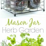 Indoor-Herb-Garden-Ideas-DIY-Herb-Mason-Jar-Garden