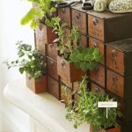 Indoor-Herb-Garden-Ideas-Drawer-Herb-Garden
