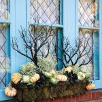 Season Window Box-Fall