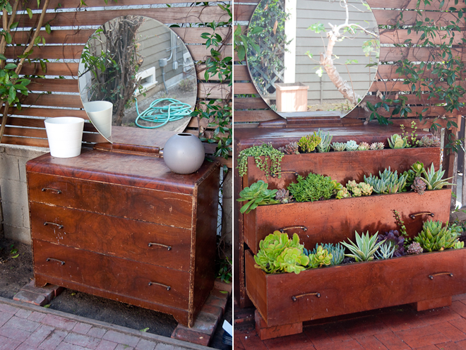 Succulent Flower Dresser