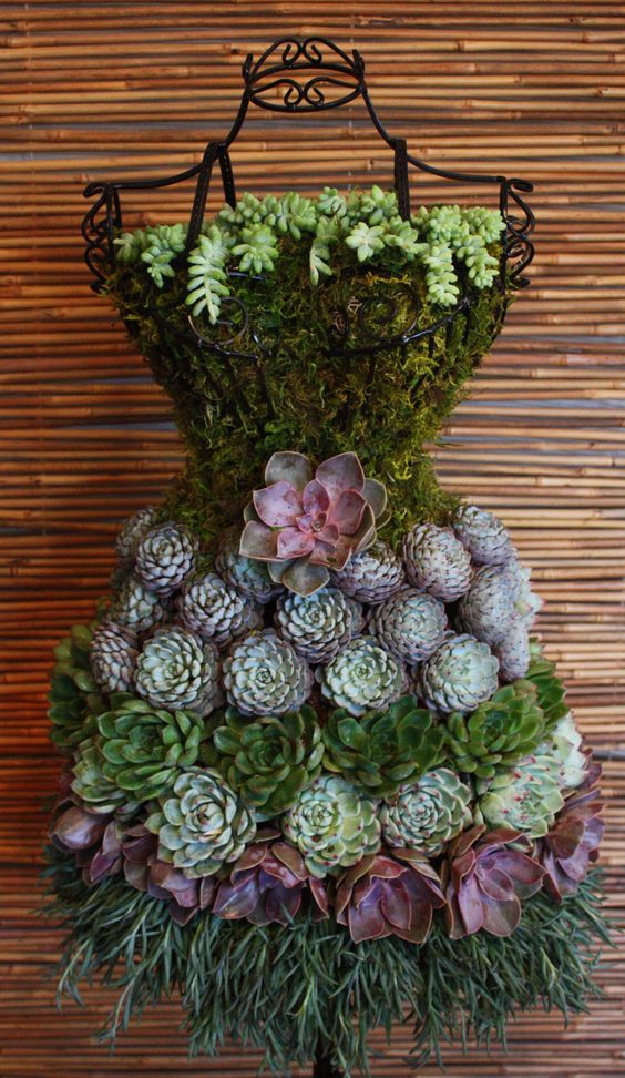 Succulents on a Wire Dress