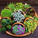 clever-idea-to-use-several-small-planters-on-their-sides-in-one-large-planter