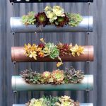 diy-succulent-vertical-garden-made-of-standard-PVC-pipes-750×1501