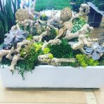 driftwood-makes-a-great-company-to-succulents-750×750