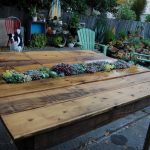 little-succulent-garden-that-is-mounted-right-in-a-diy-pallet-table-750×499
