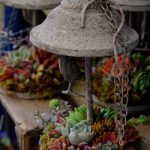 repurposed-hanging-lights-as-a-little-hanging-container-garden