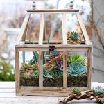 rustic-wooden-greenhouse-is-a-good-container-for-a-small-succulent-indoor-garden