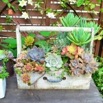 some-succulent-gardens-could-be-movable-750×750