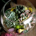 succulent-garden-ideas-15