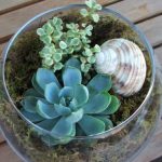 succulent-garden-ideas-24-500×375