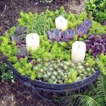 succulent-garden-ideas-25