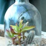 succulent-garden-ideas-26