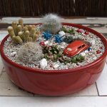 succulent-garden-ideas-5