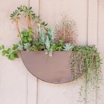 super-simple-planter-could-become-a-real-landscape-with-all-these-beautiful-fat-plants-750×750