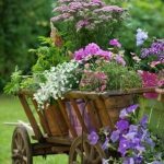 Upcycled Wheelbarrow for the Garden