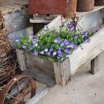 Upcycled Wheelbarrow for the Garden