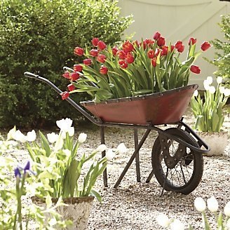 Upcycled Wheelbarrow for the Garden
