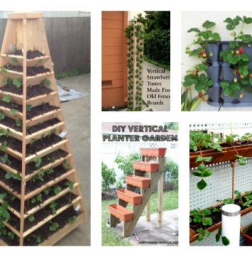 grow vertical strawberry garden