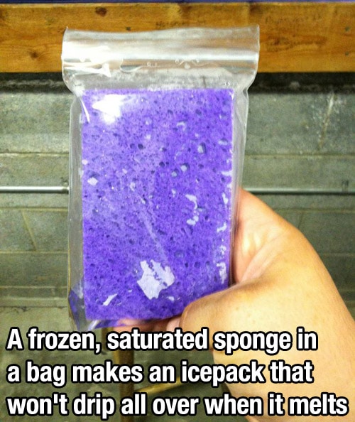 Awesome Life Hacks You Wish You Knew