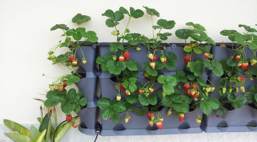 DIY Vertical Container Strawberry Planters