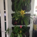 20 + Cool Vertical Garden Ideas