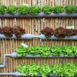 20 + Cool Vertical Garden Ideas