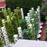 20 + Cool Vertical Garden Ideas