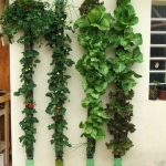 20 + Cool Vertical Garden Ideas